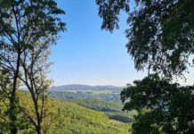 SDW begrüßt Klimaschutzgesetz