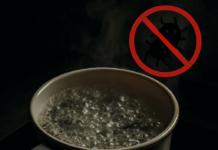 E-Coli-Bakterien nachgewiesen: Abkochempfehlung für Wörrstadt und Sulzheim