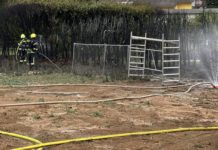 Heckenbrand in Stein-Bockenheim