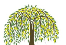 Neues Gesundheitsangebot in Gau-Odernheim: Naturheilpraxis eröffnet