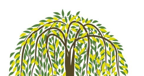 Neues Gesundheitsangebot in Gau-Odernheim: Naturheilpraxis eröffnet