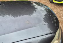 27-Jähriger randaliert nach Eigenentlassung aus der RFK