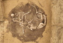 Archäologie in Alzey: Spektakuläre 6500 Jahre Geschichte freigelegt