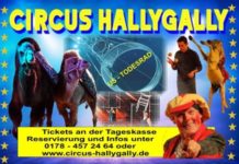 Zirkus Hallygally begeistert in Flomborn mit spektakulärem Programm