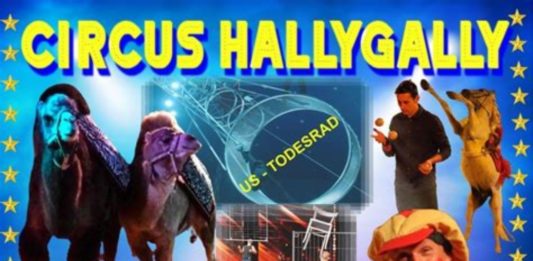 Zirkus Hallygally begeistert in Flomborn mit spektakulärem Programm