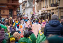 Alzeyer Fastnachtzirkus 2026: „Feiert lokal – Alzey steht Kopf“