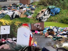 Vermüllung in Alzey: Bürger melden massive Verschlechterung des Stadtbilds