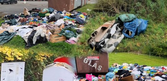 Vermüllung in Alzey