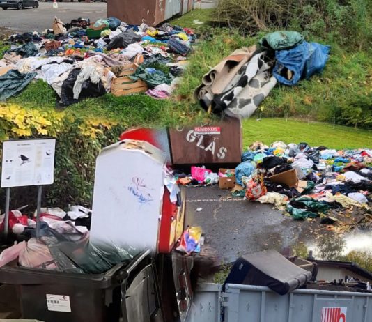 Vermüllung in Alzey