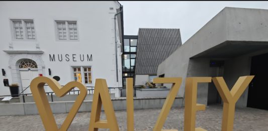 Diebstahl im Museum Alzey: Exemplar von „Mein Kampf“ entwendet