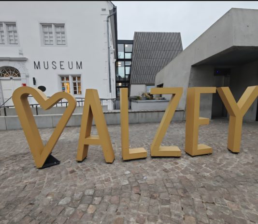 Diebstahl im Museum Alzey: Exemplar von „Mein Kampf“ entwendet