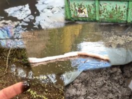 UMWELTSKANDAL BEI NIEDER-WIESEN / OBERWIESEN / KRIEGSFELD?