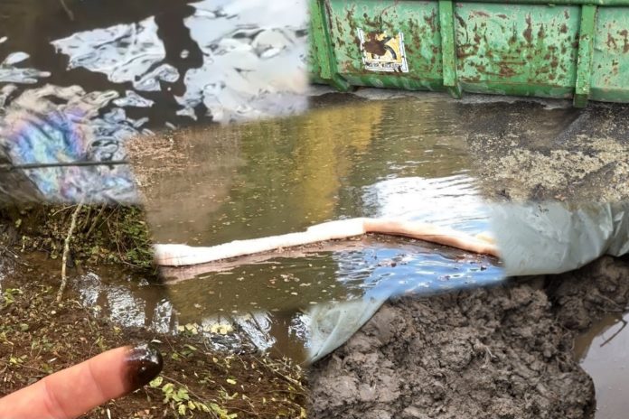 Screenshot_20251126_114740_FotoCollage Maker