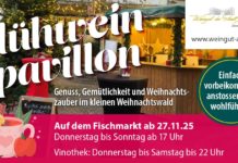 Weihnachtswäldchen am Alzeyer Fischmarkt wieder offen