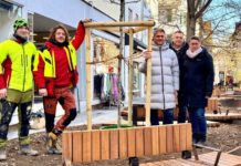 Neuer Amberbaum bereichert die Alzeyer Spießgasse