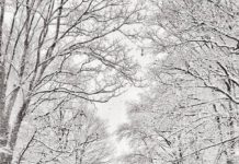 Amtliche Unwetterwarnung wegen Glätte in Rheinland-Pfalz