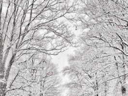 Amtliche Unwetterwarnung wegen Glätte in Rheinland-Pfalz