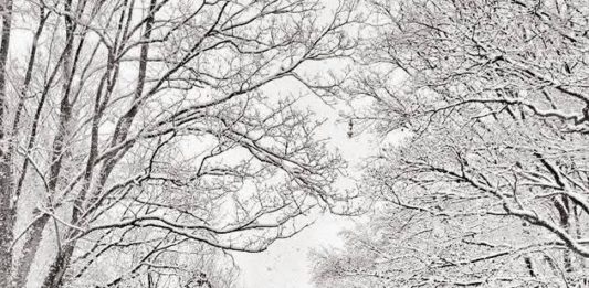 Amtliche Unwetterwarnung wegen Glätte in Rheinland-Pfalz