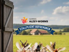 Vogelgrippe: Veterinäramt hebt Stallpflicht auf