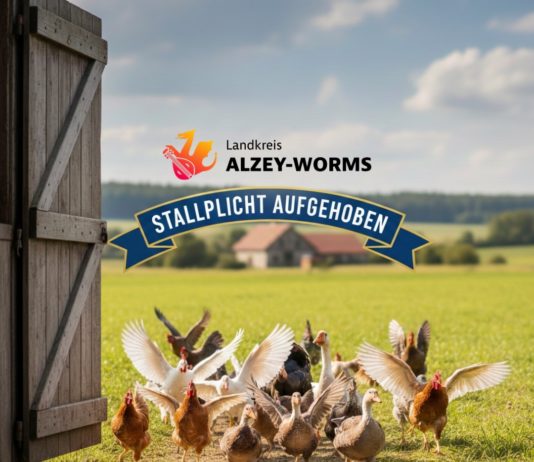 Vogelgrippe: Veterinäramt hebt Stallpflicht auf