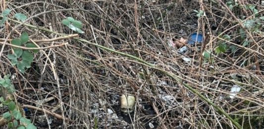 Knochenfund nahe Bahndamm beschäftigt Kriminalpolizei