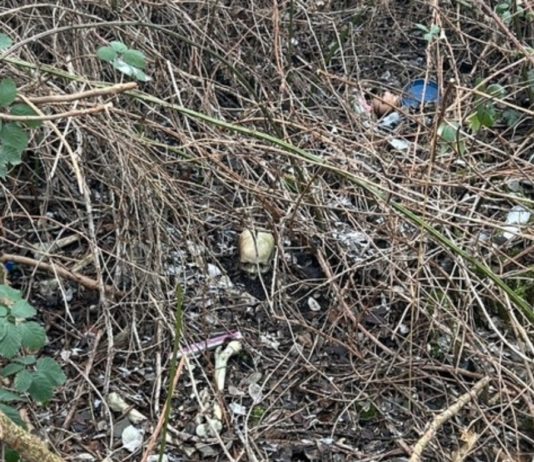 Knochenfund nahe Bahndamm beschäftigt Kriminalpolizei