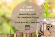 Noch bis 29. Januar bewerben: Eine Million Euro für innovative Projekte in Rheinhessen