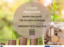 Noch bis 29. Januar bewerben: Eine Million Euro für innovative Projekte in Rheinhessen