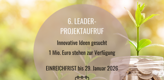 Noch bis 29. Januar bewerben: Eine Million Euro für innovative Projekte in Rheinhessen