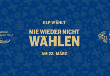 Landtagswahl 2026 im Wahlkreis 34 Alzey: Alzeyer Zeitung befragt alle Kandidaten