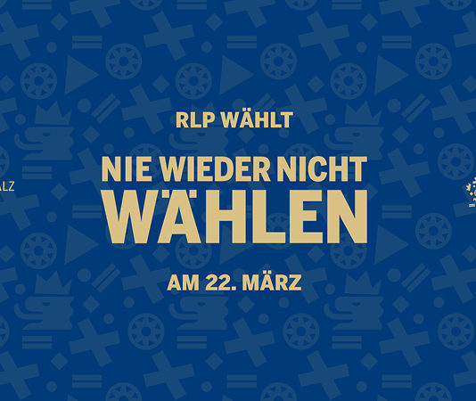 Landtagswahl 2026 im Wahlkreis 34 Alzey: Alzeyer Zeitung befragt alle Kandidaten