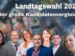 Landtagswahl im Wahlkreis Alzey: Wo die Kandidaten politisch konkret ansetzen