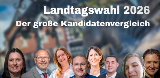 Landtagswahl im Wahlkreis Alzey: Wo die Kandidaten politisch konkret ansetzen