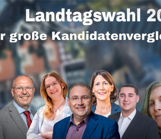 Landtagswahl im Wahlkreis Alzey: Wo die Kandidaten politisch konkret ansetzen