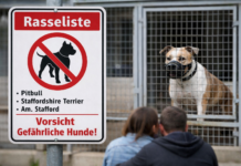 Tierschutzpartei fordert Abschaffung der Rasselisten in Rheinland-Pfalz