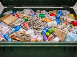 Kritik an fehlender Mülltrennung in Alzeyer Kitas