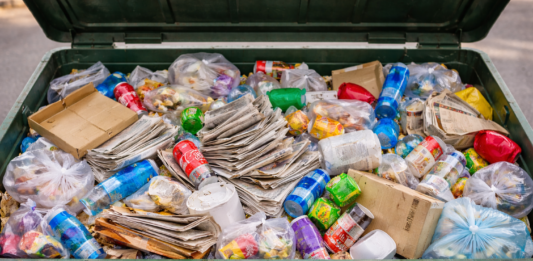 Kritik an fehlender Mülltrennung in Alzeyer Kitas