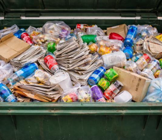 Kritik an fehlender Mülltrennung in Alzeyer Kitas