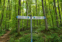 Neue Hiwweltour Vorholz wird eröffnet