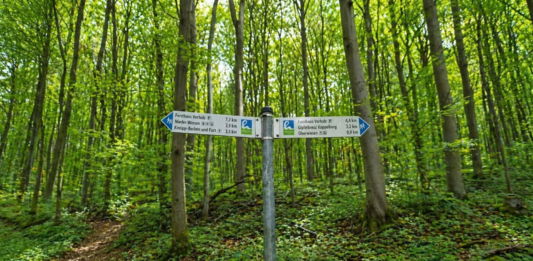 Neue Hiwweltour Vorholz wird eröffnet