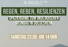 Spaziergang zum ökologischen Weinbau in Dolgesheim