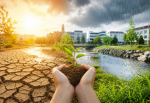 Kreistag beschließt Klimaanpassungskonzept für den Landkreis