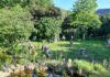Kunstausstellung „Im Flonheimer Sommergarten“ öffnet am 16. August ihre Tore