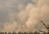 Kräfte aus Alzey-Worms leisten wertvolle Hilfe beim Waldbrand am Rotenfels