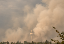 Kräfte aus Alzey-Worms leisten wertvolle Hilfe beim Waldbrand am Rotenfels