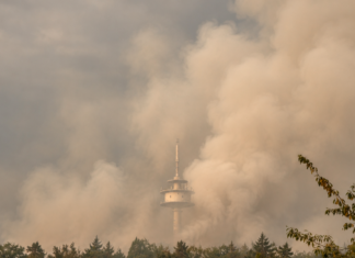 Kräfte aus Alzey-Worms leisten wertvolle Hilfe beim Waldbrand am Rotenfels