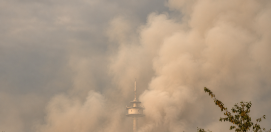 Kräfte aus Alzey-Worms leisten wertvolle Hilfe beim Waldbrand am Rotenfels