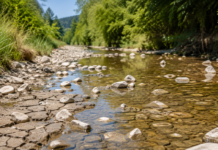 Kreisverwaltung bittet: Kein Wasser aus Bächen und Flüssen entnehmen