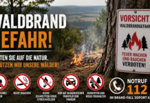 Trockenheit erhöht Waldbrandgefahr: Kreisverwaltung mahnt zu besonderer Vorsicht