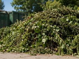 Geänderte Öffnungszeiten bei Wertstoffhof und Grünschnittannahme